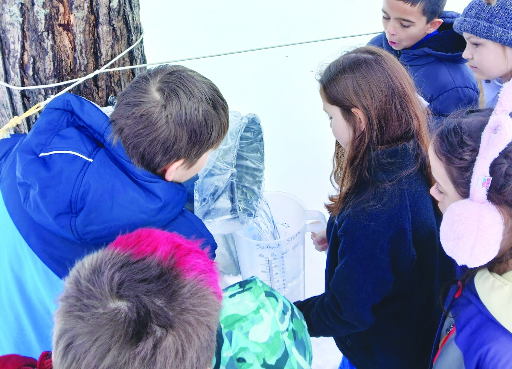 Southwick School students learn to make maple syrup